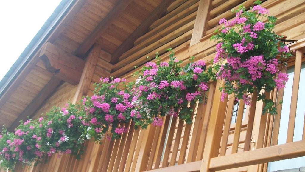 Gresil Residence Champoluc Dış mekan fotoğraf